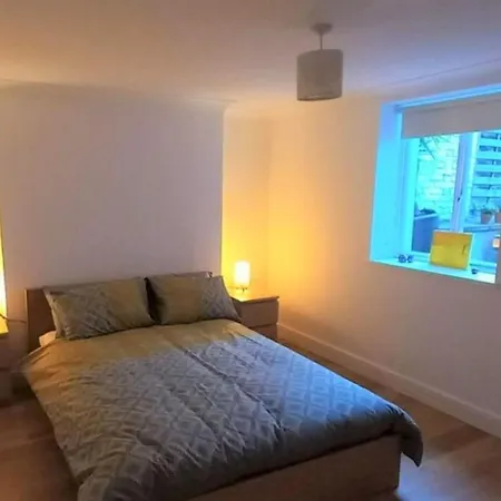 2 Bedroom Victorian Garden Flat London Exterior photo